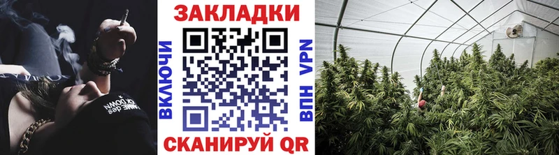 Канабис Курчатов