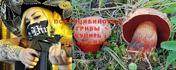 бошки Протвино