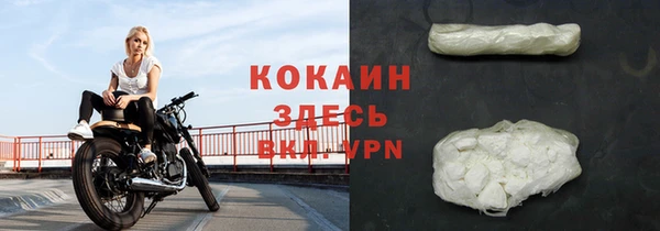 прущие грибы Абдулино