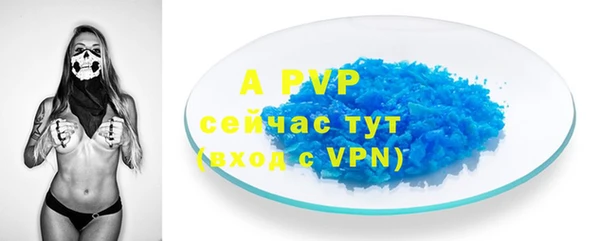 прущие грибы Абдулино