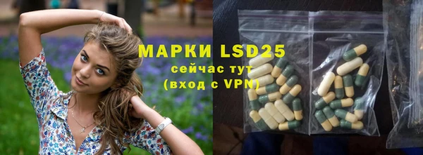 ГАЛЛЮЦИНОГЕННЫЕ ГРИБЫ Абаза